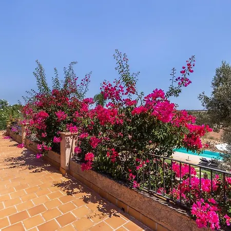 El Retiro سي سالينيس