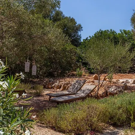 فيلة El Retiro